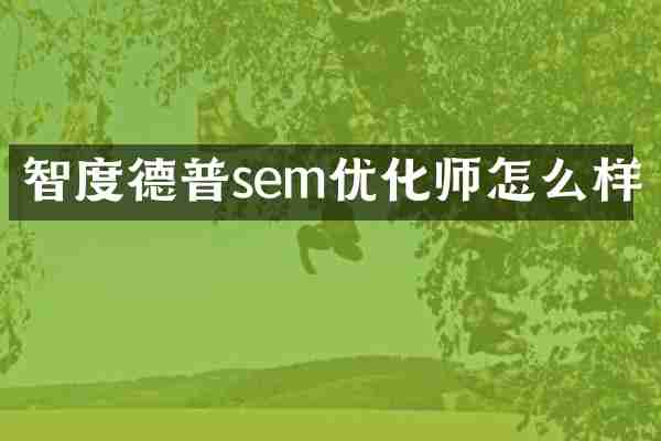 智度德普sem优化师怎么样