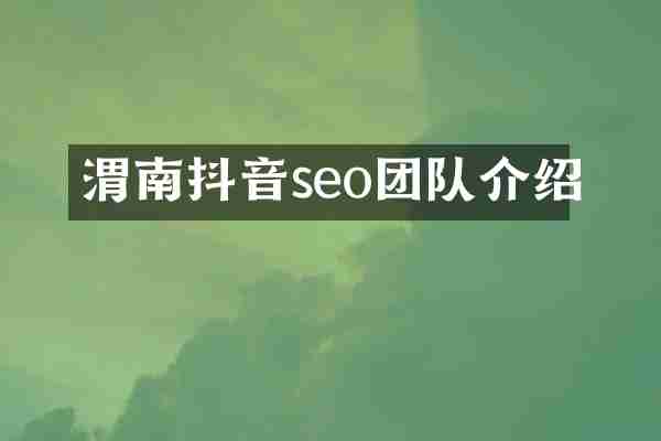 渭南抖音seo团队介绍