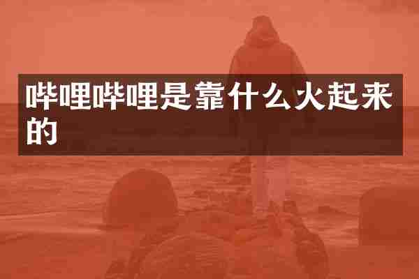 哔哩哔哩是靠什么火起来的