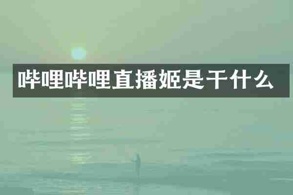 哔哩哔哩直播姬是干什么