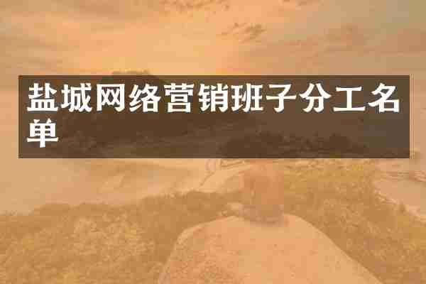 盐城网络营销班子分工名单