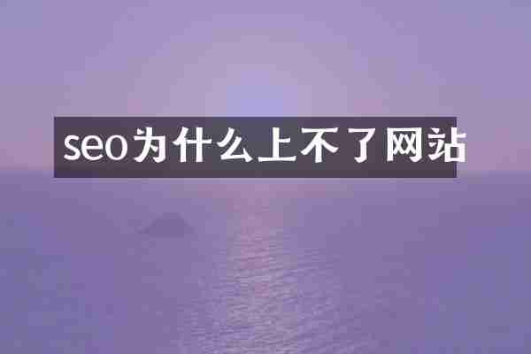 seo为什么上不了网站