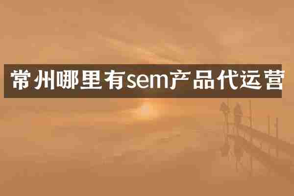 常州哪里有sem产品代运营