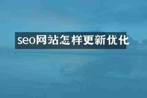 seo网站怎样更新优化