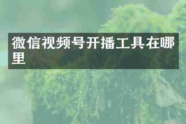 微信视频号开播工具在哪里