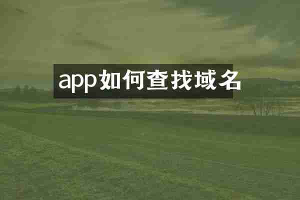 app如何查找域名