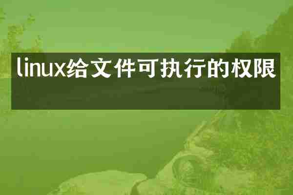 linux给文件可执行的权限吗