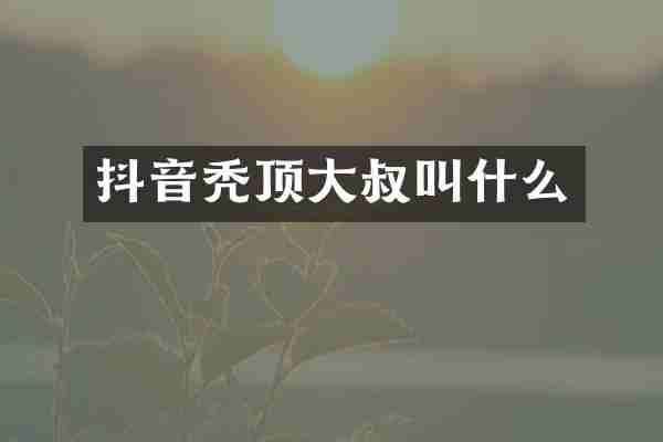 抖音秃顶大叔叫什么