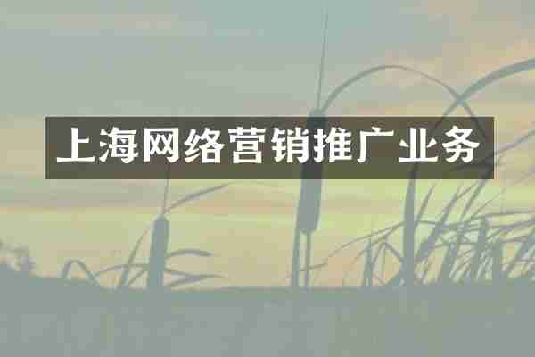 上海网络营销推广业务