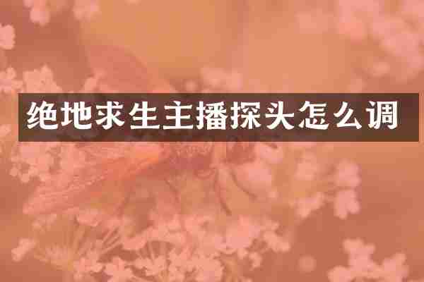 绝地求生主播探头怎么调