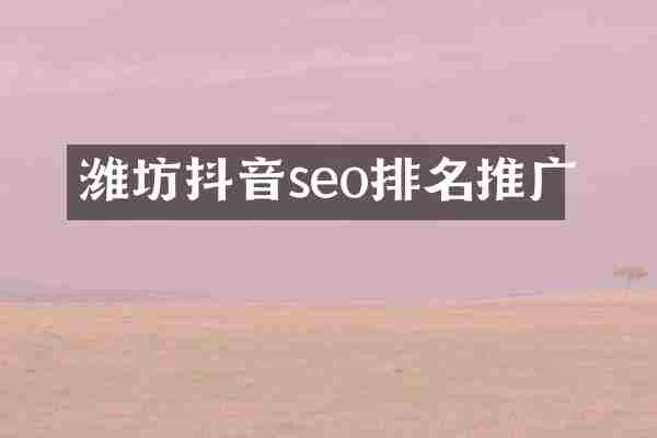 潍坊抖音seo排名推广