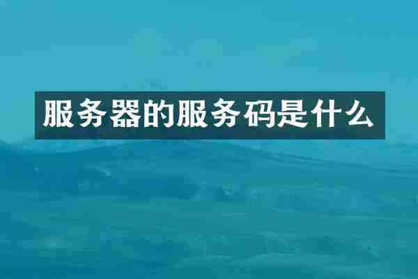 服务器的服务码是什么