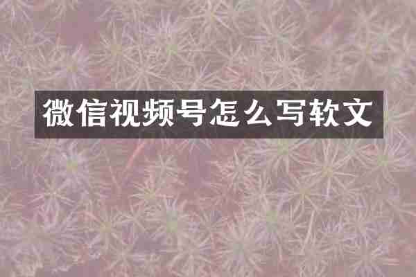 微信视频号怎么写软文