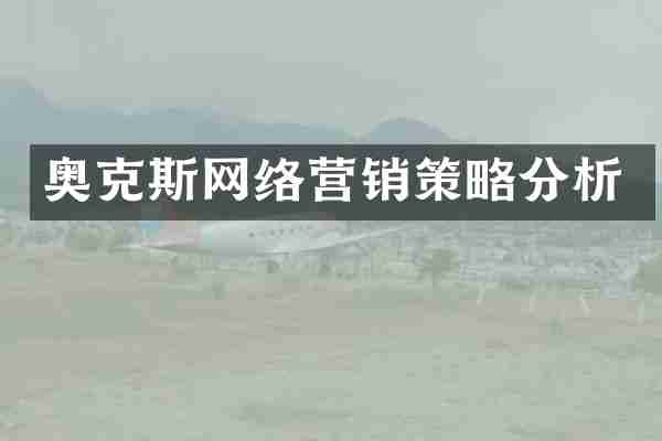 奥克斯网络营销策略分析