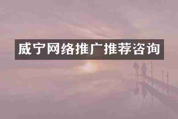 威宁网络推广推荐咨询
