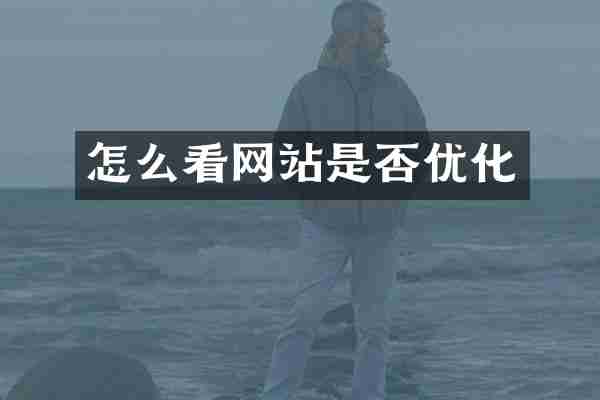 怎么看网站是否优化