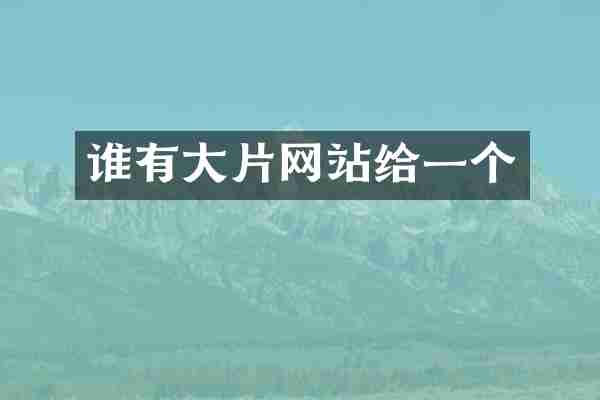 谁有大片网站给一个