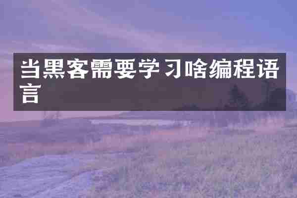 当黑客需要学习啥编程语言