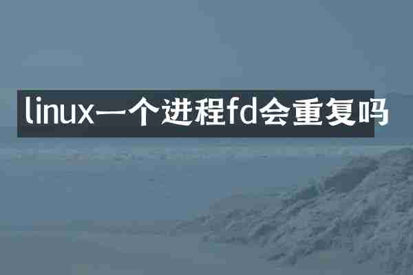 linux一个进程fd会重复吗