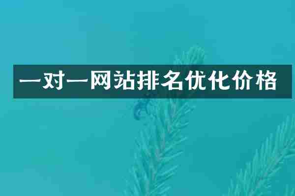 一对一网站排名优化价格