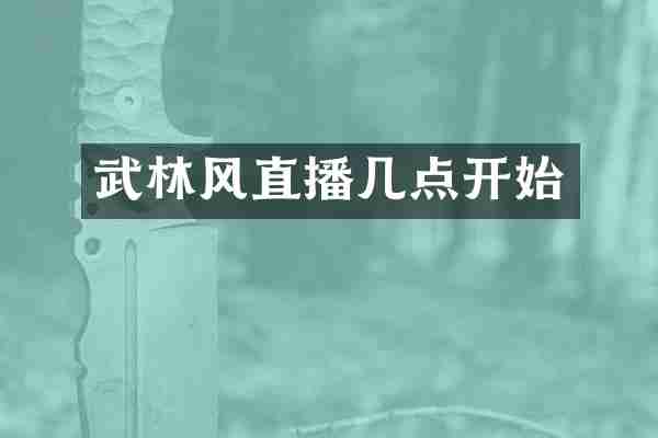 武林风直播几点开始