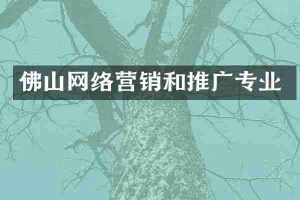 佛山网络营销和推广专业