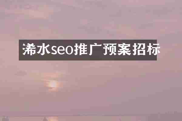 浠水seo推广预案招标