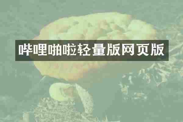 哔哩啪啦轻量版网页版