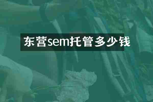 东营sem托管多少钱
