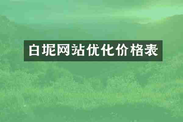 白坭网站优化价格表