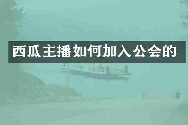西瓜主播如何加入公会的
