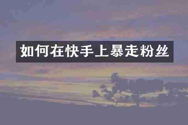 如何在快手上暴走粉丝