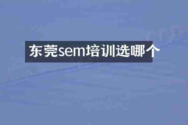 东莞sem培训选哪个