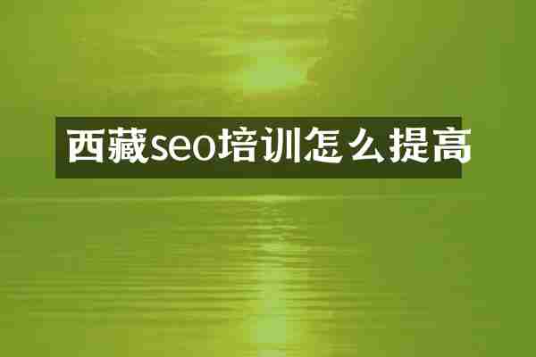 西藏seo培训怎么提高