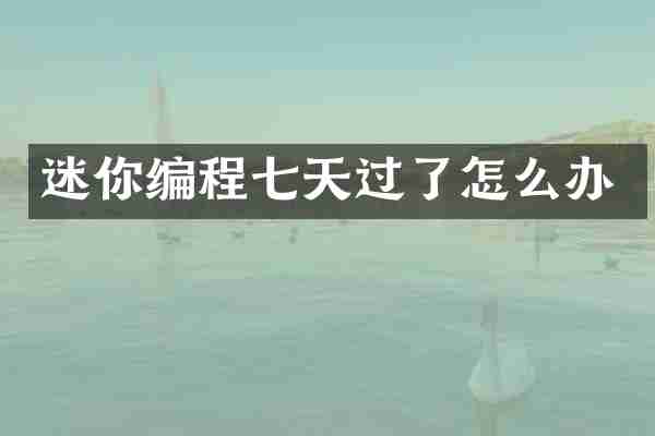 迷你编程七天过了怎么办