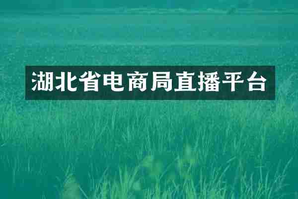 湖北省电商局直播平台