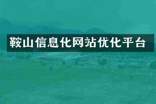 鞍山信息化网站优化平台