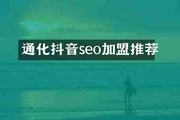 通化抖音seo加盟推荐