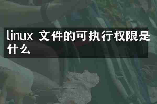 linux 文件的可执行权限是什么