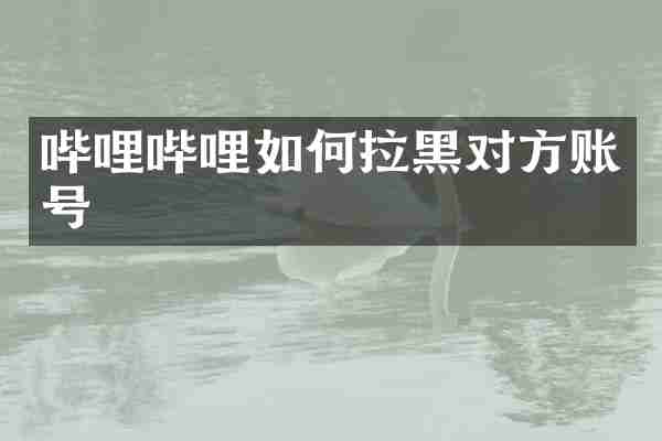 哔哩哔哩如何拉黑对方账号