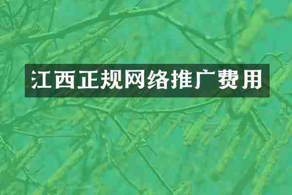江西正规网络推广费用