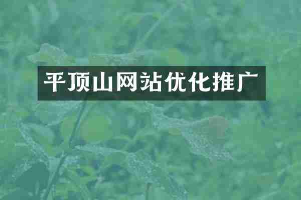 平顶山网站优化推广