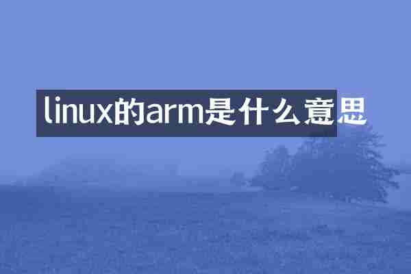 linux的arm是什么意思