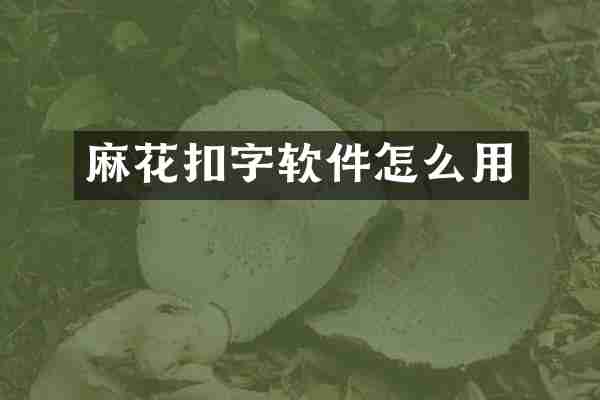 麻花扣字软件怎么用