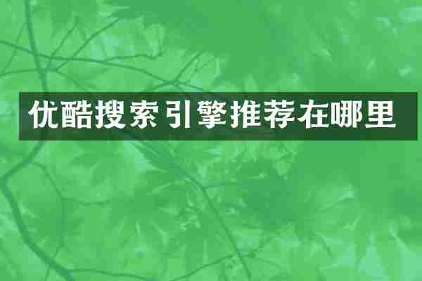 优酷搜索引擎推荐在哪里