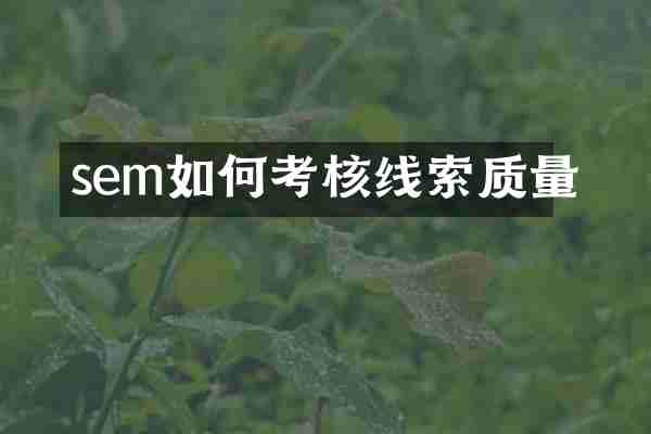 sem如何考核线索质量