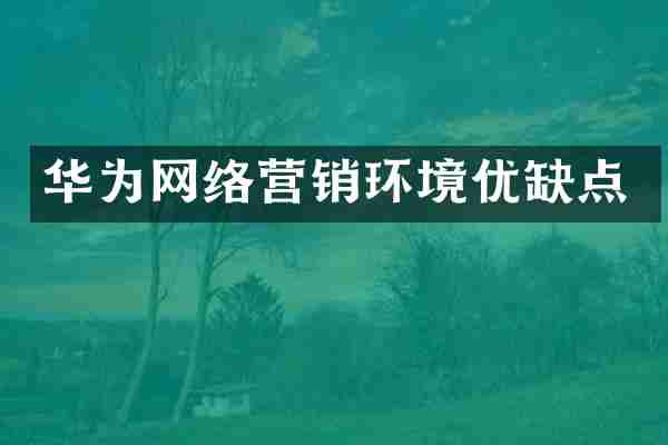 华为网络营销环境优缺点