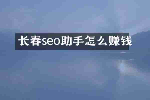 长春seo助手怎么赚钱