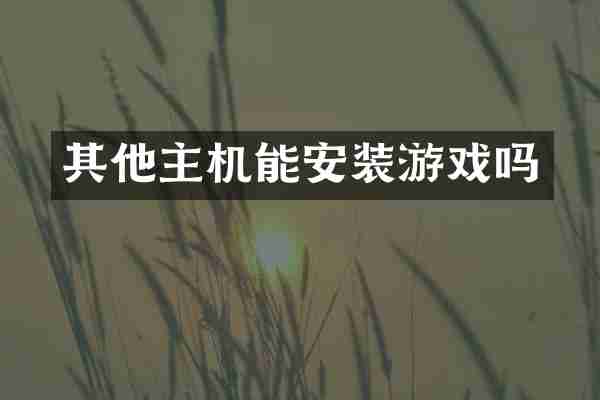 其他主机能安装游戏吗
