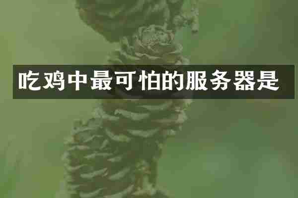 吃鸡中最可怕的服务器是